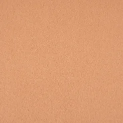 Baumwollfleece Fleecestoff aus Baumwolle gebürstet einfarbig muskat-beige 1,5m