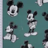 Baumwolljersey Jersey Digitaldruck Micky Maus grün schwarz weiß 1,45m Breite