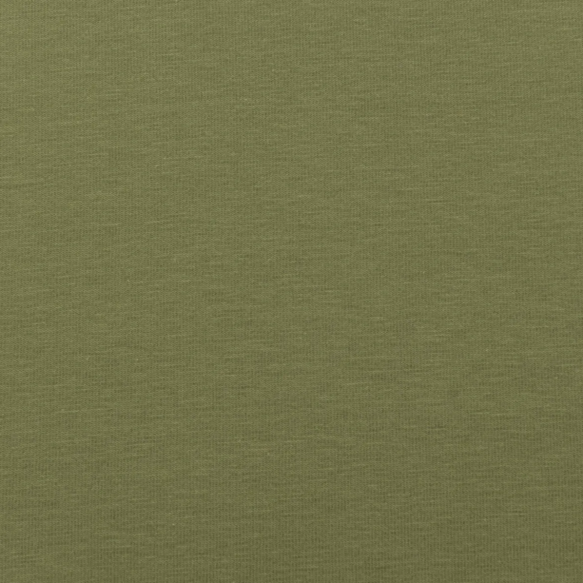 Baumwolljersey Organic Bio Jersey einfarbig farn grün 1,5m Breite