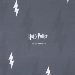 Baumwollstoff Popeline Digitaldruck Harry Potter Schriftzug Blitz grau weiß dunkelgrau 1,5m Breite