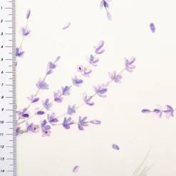 Baumwollstoff Popeline Lavendel Digitaldruck weiß lila 1,40m Breite