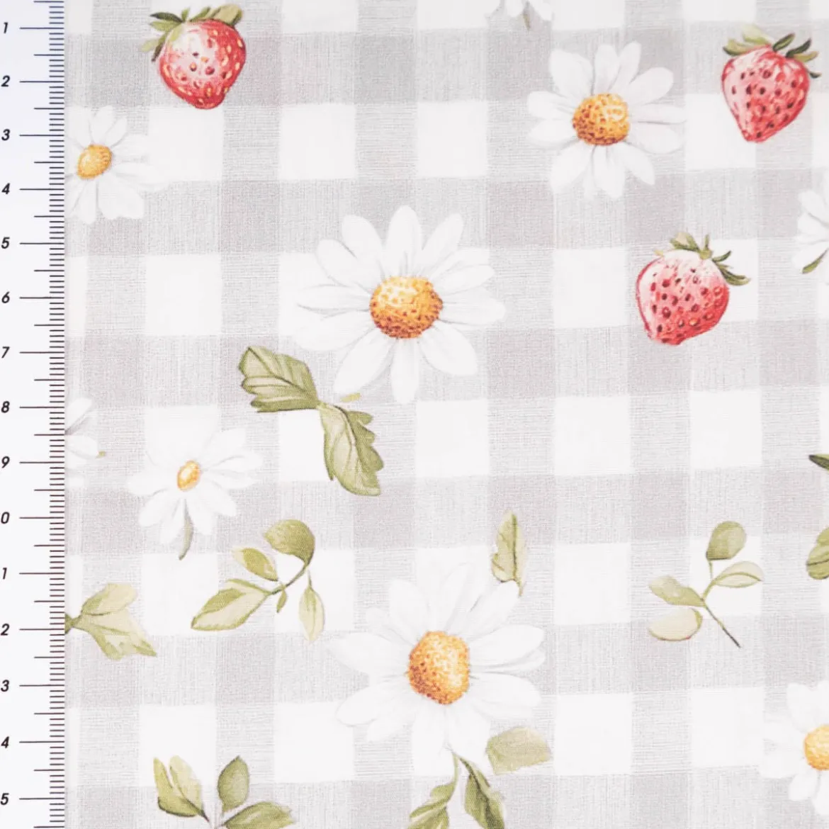 Baumwollstoff Popeline Stoff Erdbeeren Karos Blumen grau rot 1,40m Breite