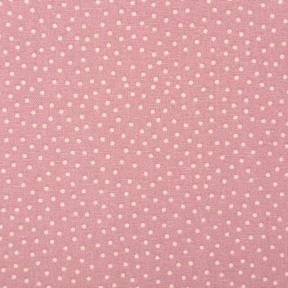 Baumwollstoff Popeline Stoff Pünktchen Serie Romantic Garden Altrosa 1,40m Breite