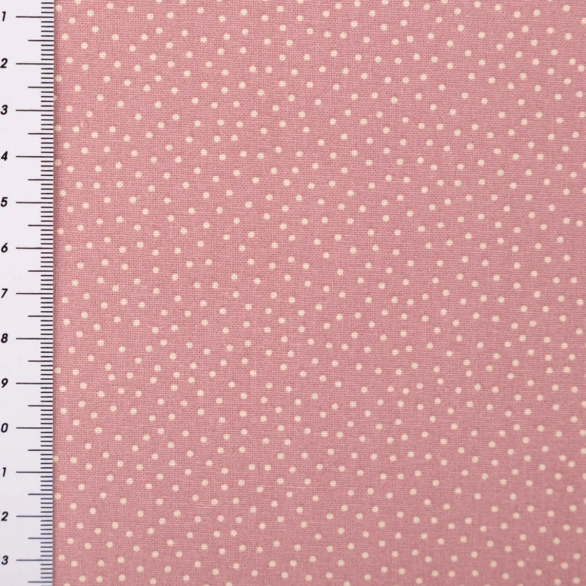 Baumwollstoff Popeline Stoff Pünktchen Serie Romantic Garden Altrosa 1,40m Breite