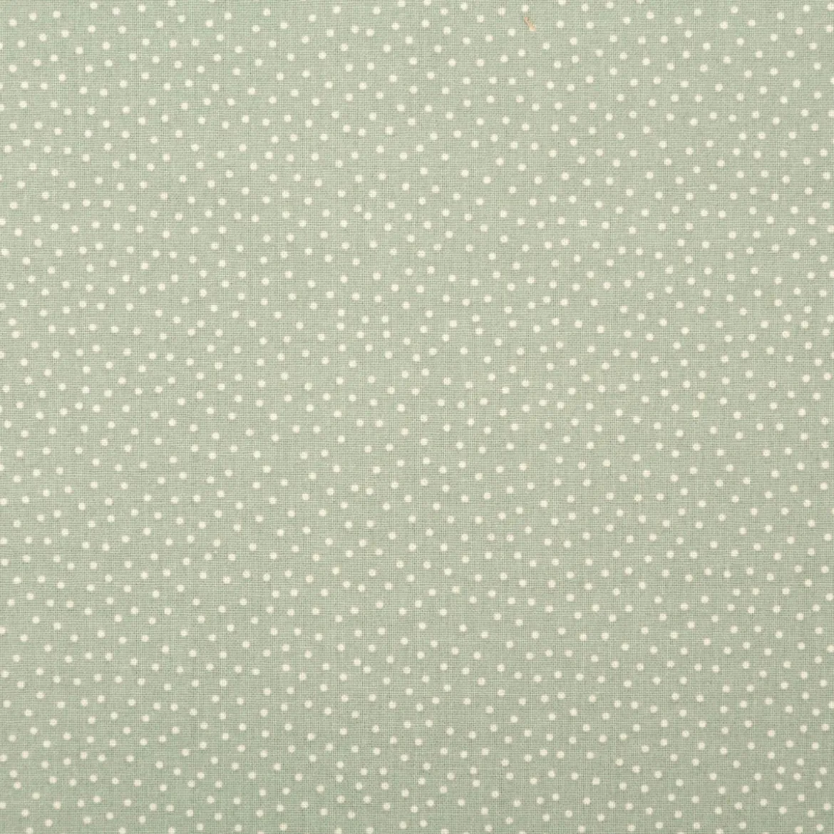 Baumwollstoff Popeline Stoff Pünktchen Serie Romantic Garden Mintgrün 1,40m Breite