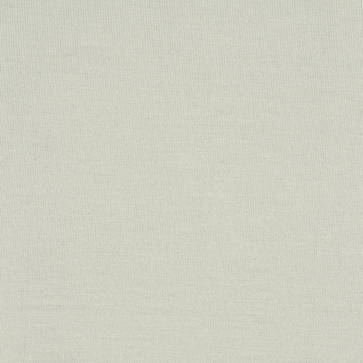 Bekleidungsstoff Tencel Modal Jersey einfarbig mint 1,45m Breite