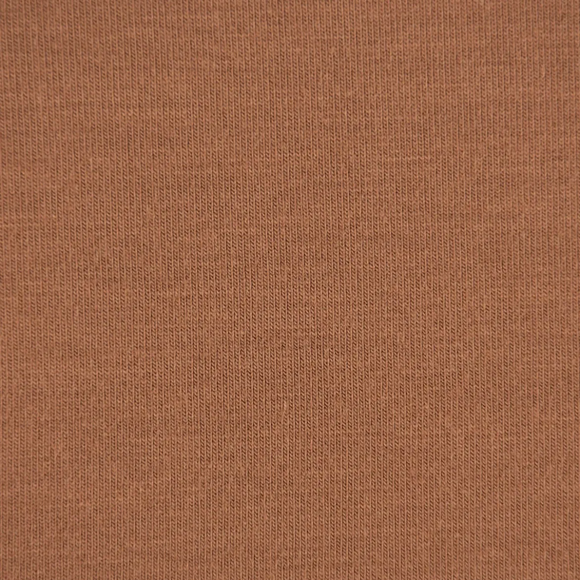 Bekleidungsstoff Tencel Modal Jersey einfarbig hellbraun 1,45m Breite