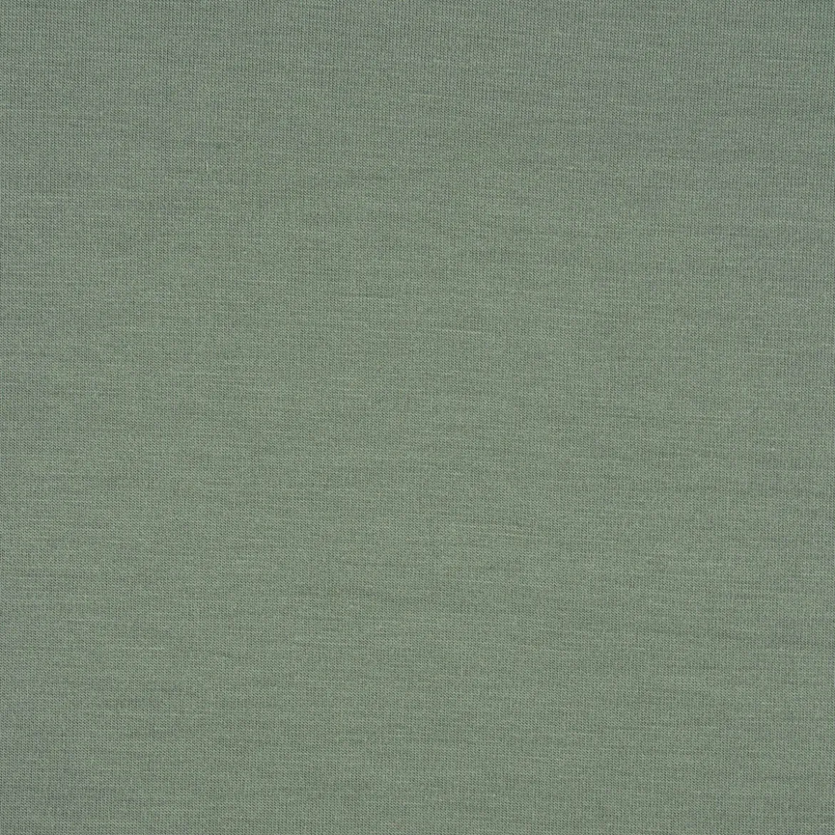 Bekleidungsstoff Tencel Modal Jersey einfarbig altgrün 1,45m Breite