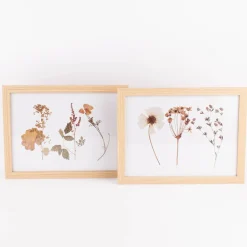 Bild mit Trockenblumen natur weiß bunt 43x33x1cm verschiedene Motive