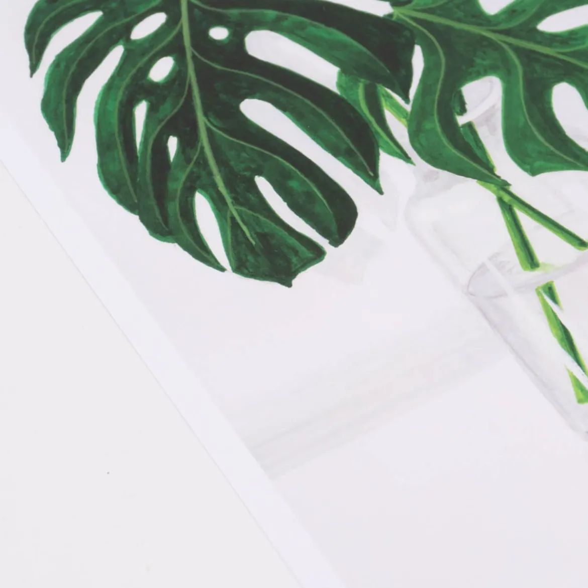 Bild Pflanze Monstera Blätter Papier weiß grün A4 30x21cm