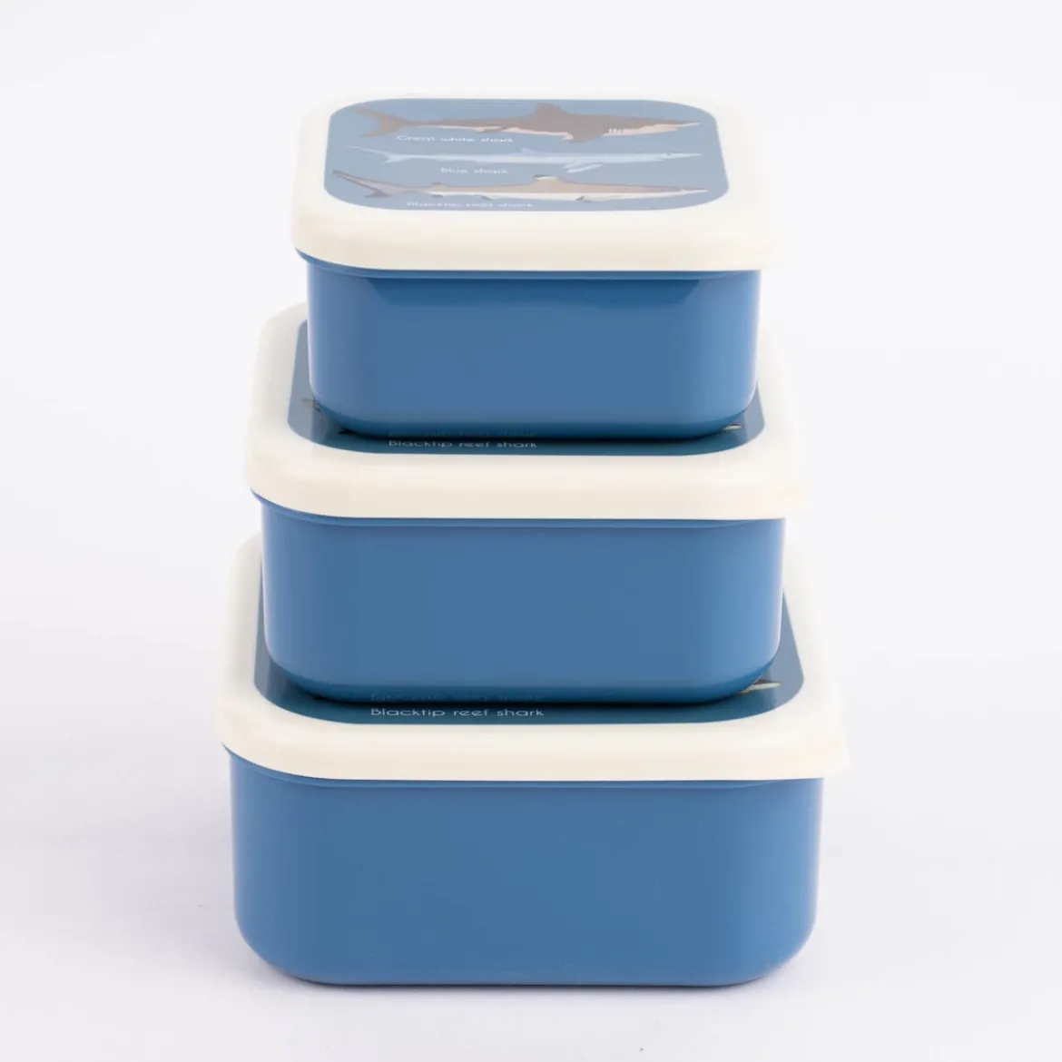 Brotzeit-Dose Hai 3er Set dunkelblau weiß 12x5,5cm