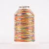 Bulky-Lock 80 Bauschgarn Multicolor Farbnr. 9822 Gütermann 1000 Meter/Spule