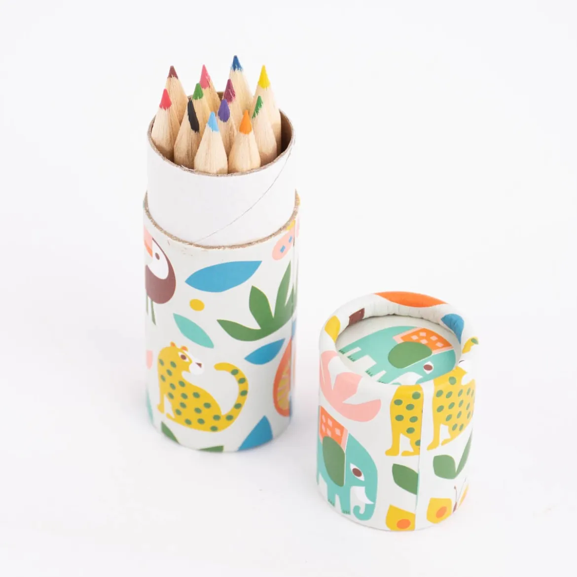 Buntstifte Set Wild Wonders 12 Stück in Dose 10x3,5cm