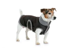 Burda Schnittmuster 7752 Hundemantel