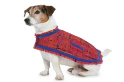 Burda Schnittmuster 7752 Hundemantel