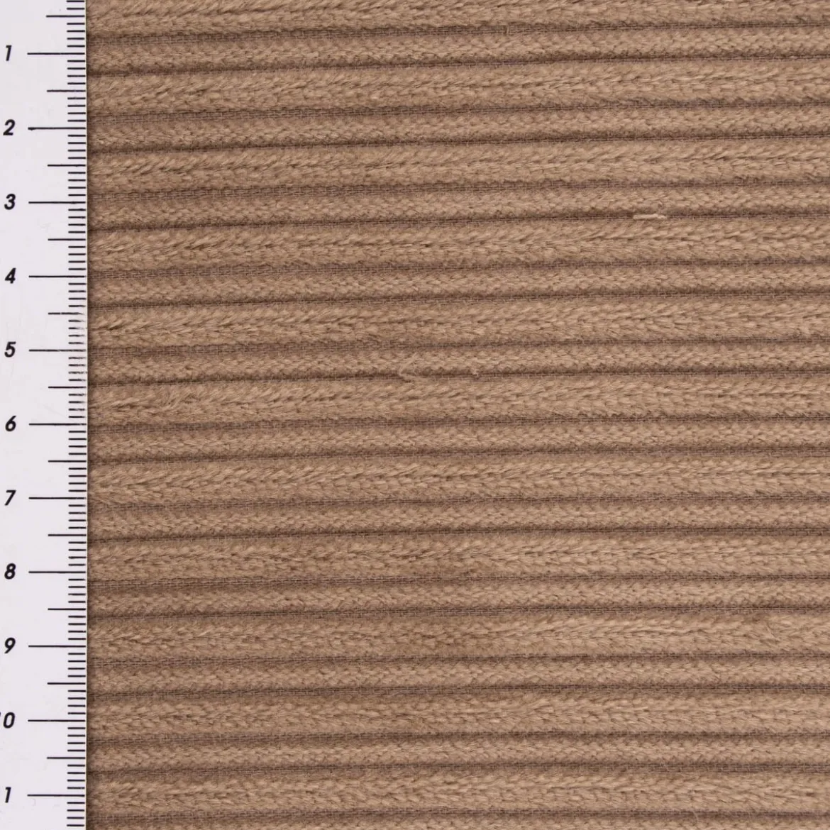 Cord Baumwolle Bekleidungsstoff Dekostoff Doppelrille einfarbig beige 1,45m Breite
