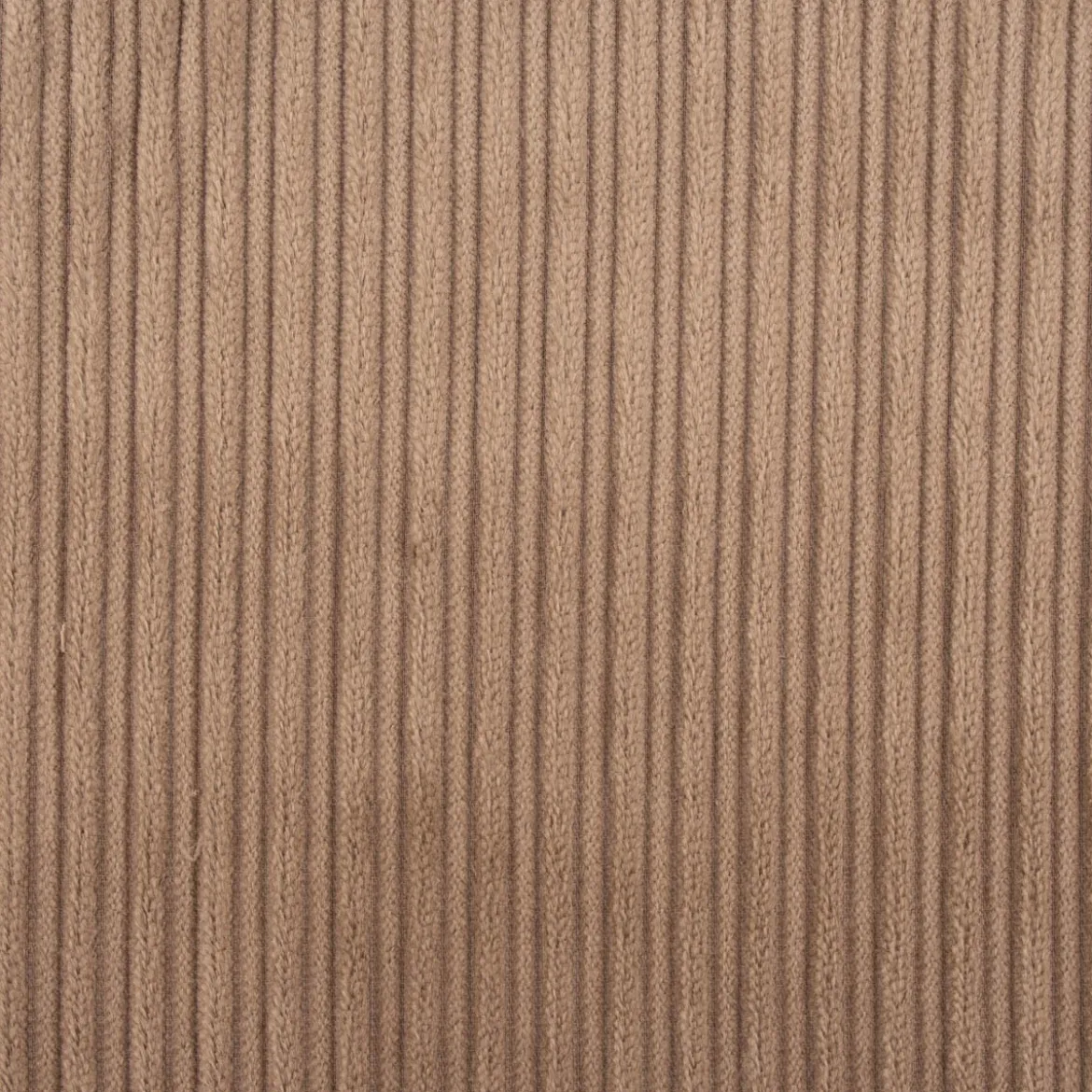 Cord Baumwolle Bekleidungsstoff Dekostoff Doppelrille einfarbig beige 1,45m Breite
