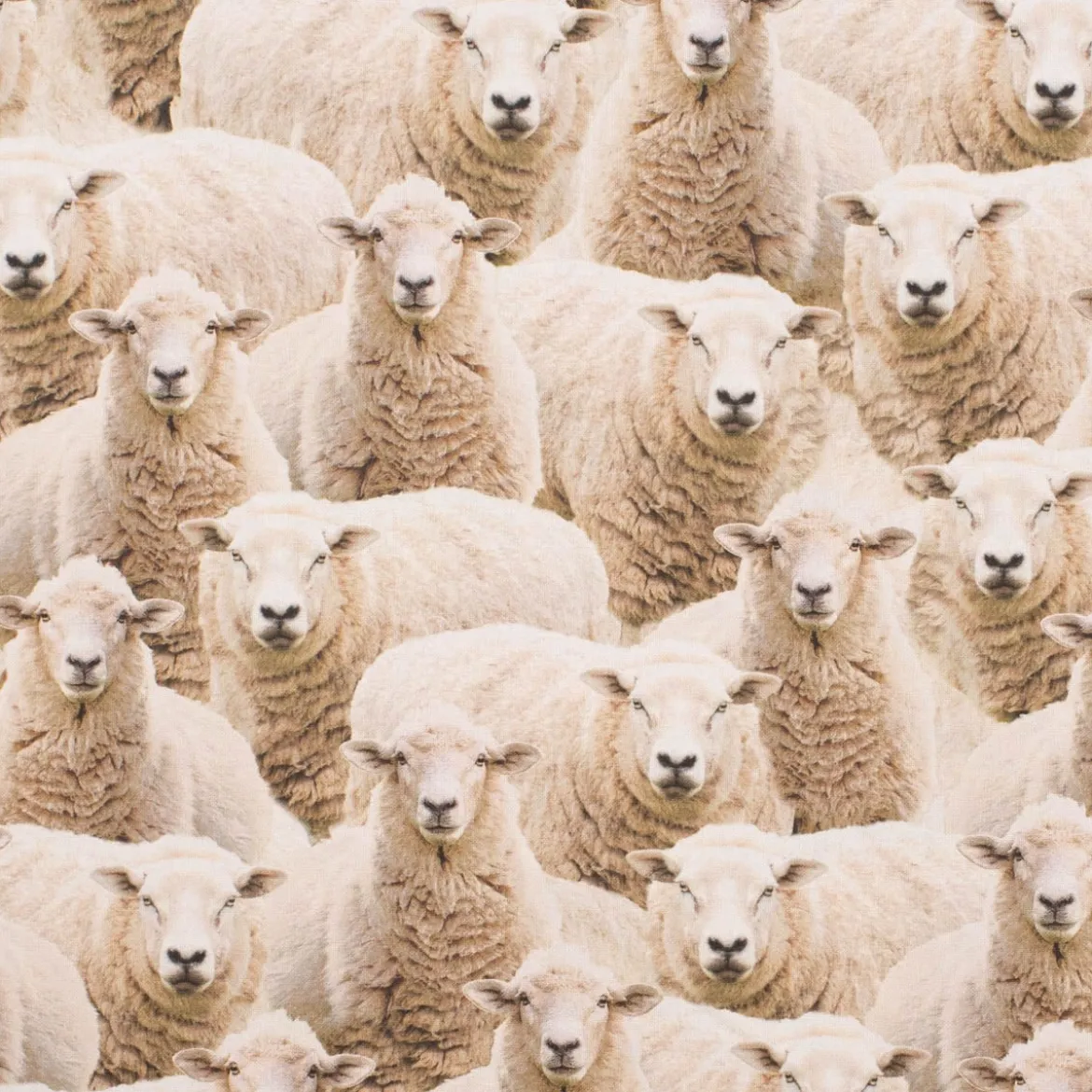 Dekostoff Baumwollstoff Halbpanama Sheep Flock Schafherde beige 1,40m Breite