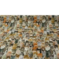 Dekostoff Halbpanama Digitaldruck Katzen braun weiß 1,40m breit