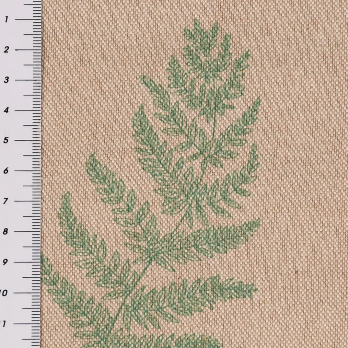 Dekostoff Halbpanama Leinenlook Fragile Fern Farnblätter natur grün 1,40m Breite