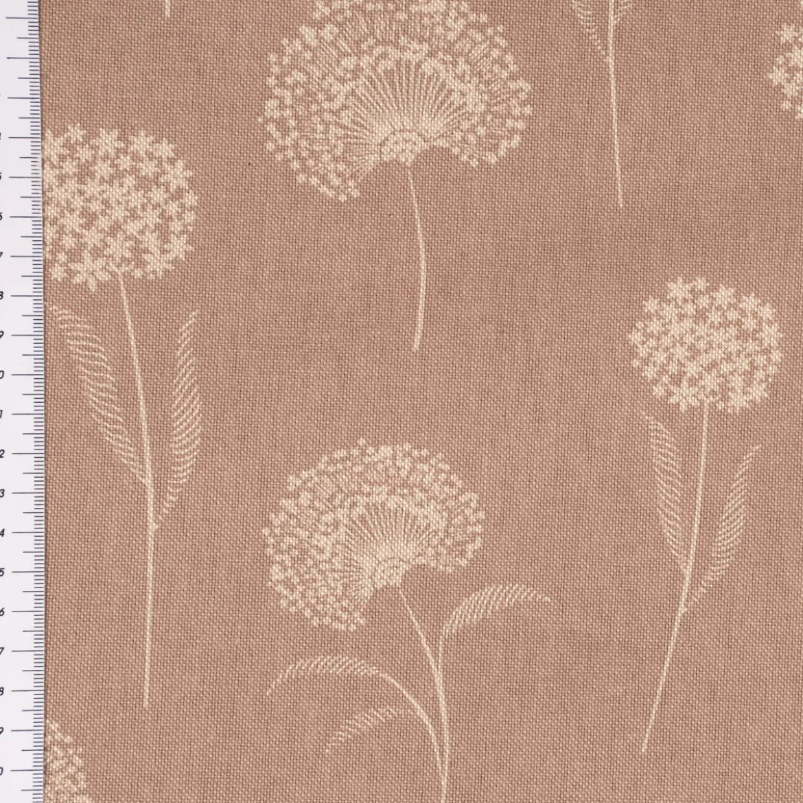 Dekostoff Halbpanama Leinenlook Elegant Dandelion Pusteblume taupe natur 1,40m Breite