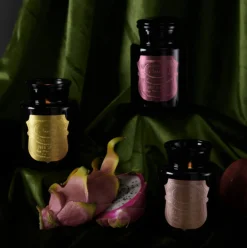 Duftkerze Sojakerze Apothecary Noir Palo Santo 226gr von Paddywax