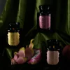 Duftkerze Sojakerze Apothecary Noir Tabac & Pine 226gr von Paddywax