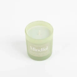 Duftkerze Sojakerze Wellness Green Mindful 141gr im Glastopf von Paddywax