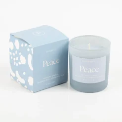 Duftkerze Sojakerze Wellness Blue Peace 141gr im Glastopf von Paddywax