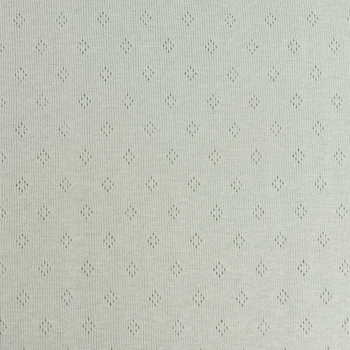Feinstrick Baumwoll-Jersey Pointoille Lochmuster einfarbig mint
