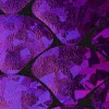 Folienjersey Stretch Glitzer Schuppen holografisch schwarz violett 1,5m Breite