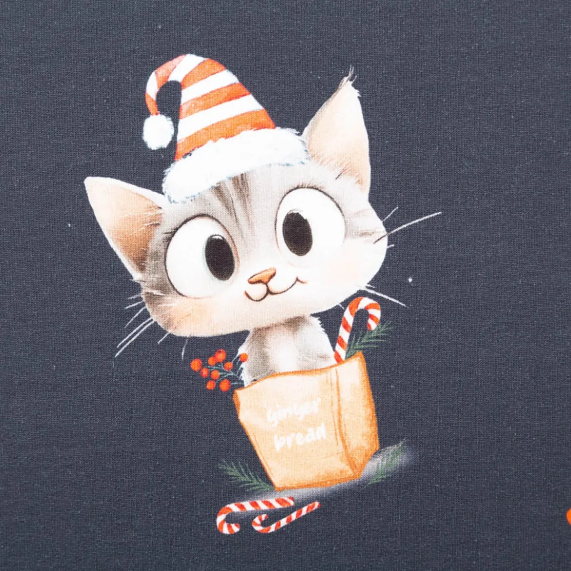 French Terry Naughty Kitty Weihnachtskatze Digitaldruck dunkelblau 145cm