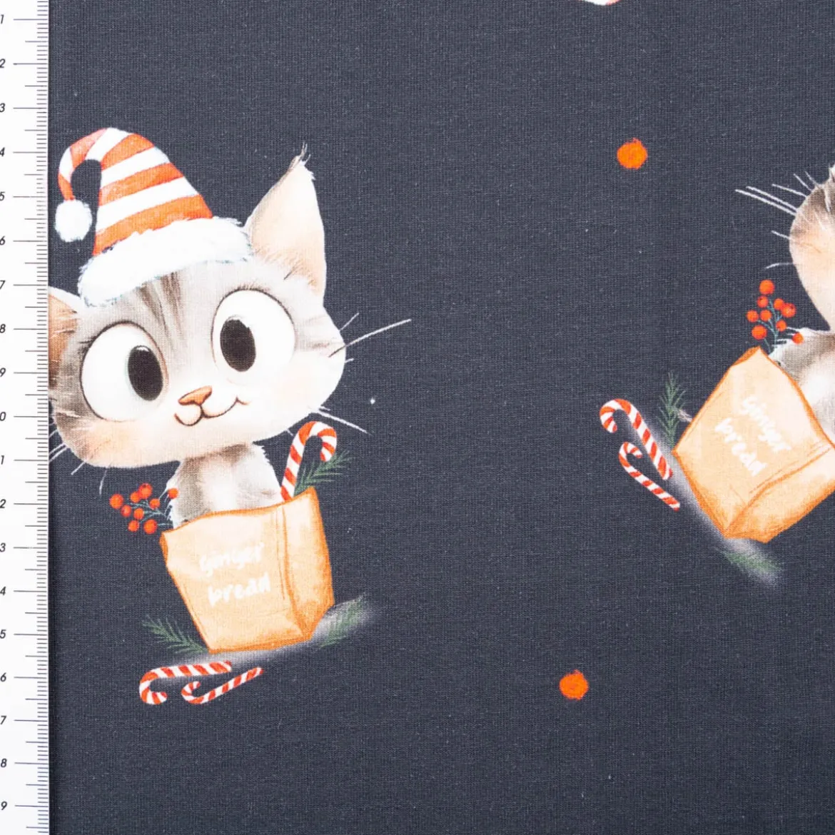 French Terry Naughty Kitty Weihnachtskatze Digitaldruck dunkelblau 145cm