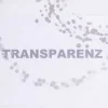 Gardinenstoff Stores Voile weiß mit silberfarbigen Tropfen mit Bleiband 290cm hoch