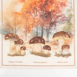 Geschirrtücher 3er Set Pilze aus Baumwolle 50x70cm