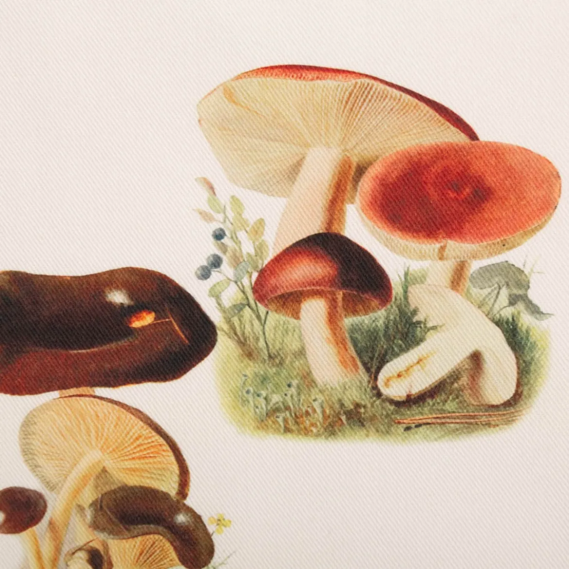 Geschirrtücher 3er Set Pilze aus Baumwolle 50x70cm