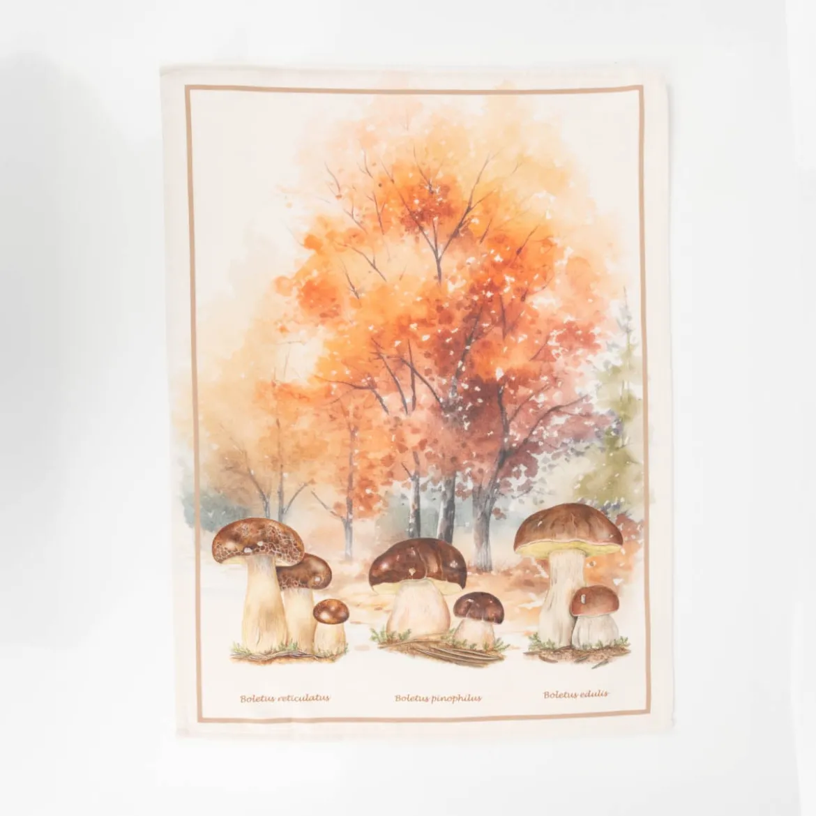 Geschirrtücher 3er Set Pilze aus Baumwolle 50x70cm