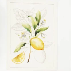 Geschirrtuch Lemon aus Baumwolle 50x70cm im 3er Set