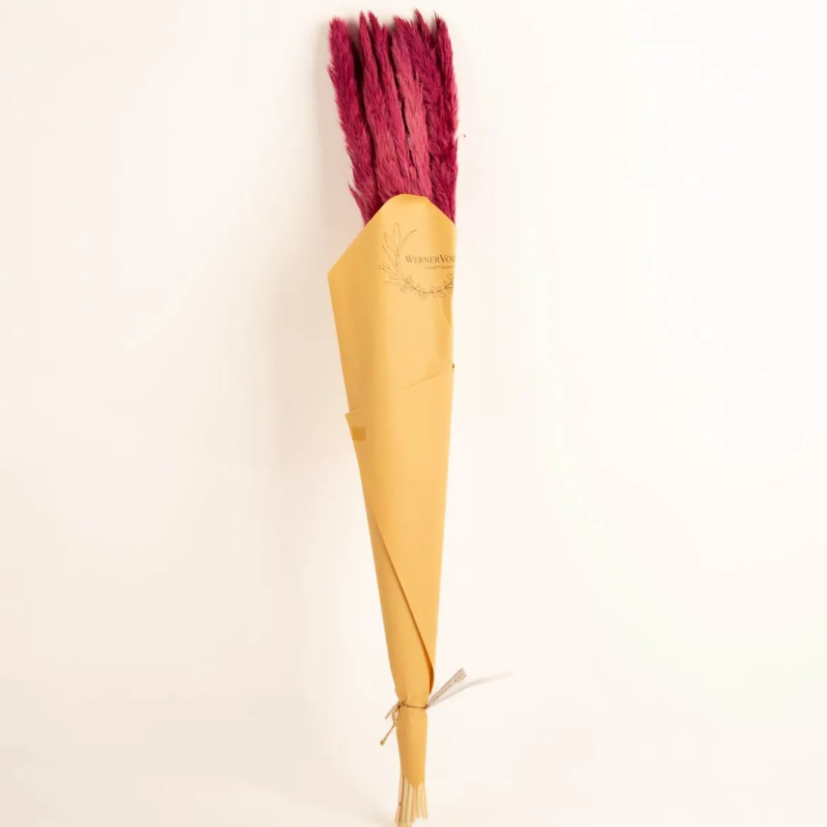 Getrocknetes Pampasgras Bund mit 15 Stilen pink 70-80cm