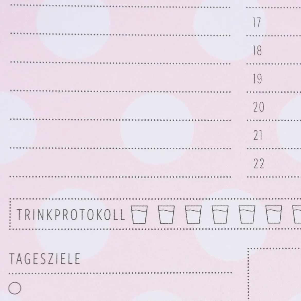 Grafik Werkstatt Tages To Do Notizblock Plan los rosa weiß goldfarbig 15x21cm