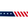 Gummi Band USA Breite: 2,5cm