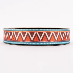 Gurtband Chevron Zick-Zack Luca bunt Breite: 4cm