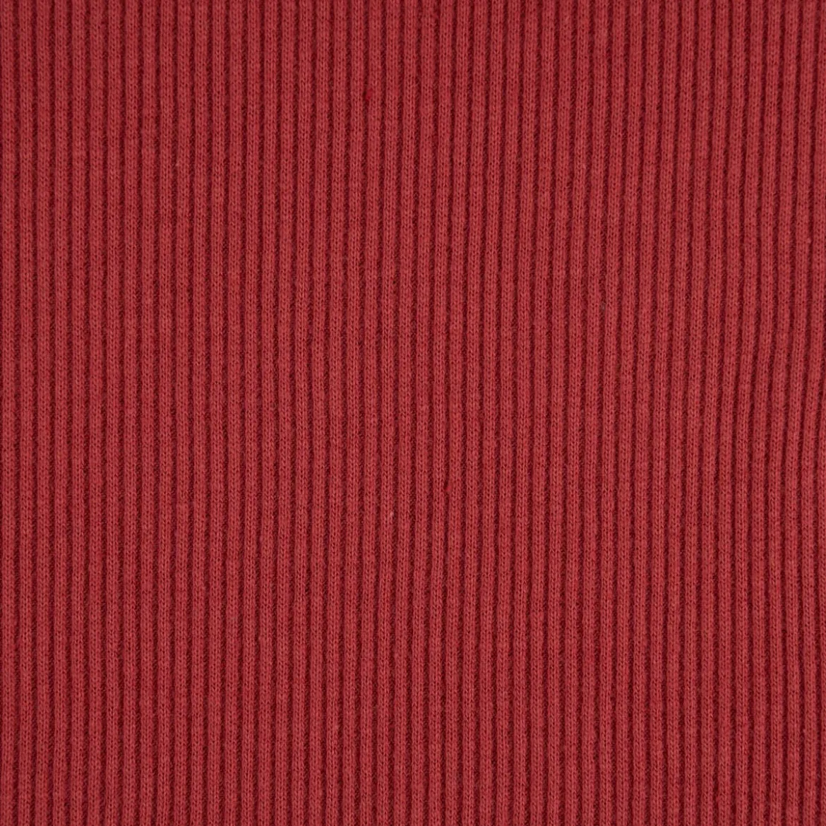 Jersey Rippjersey einfarbig rot 1,40m Breite