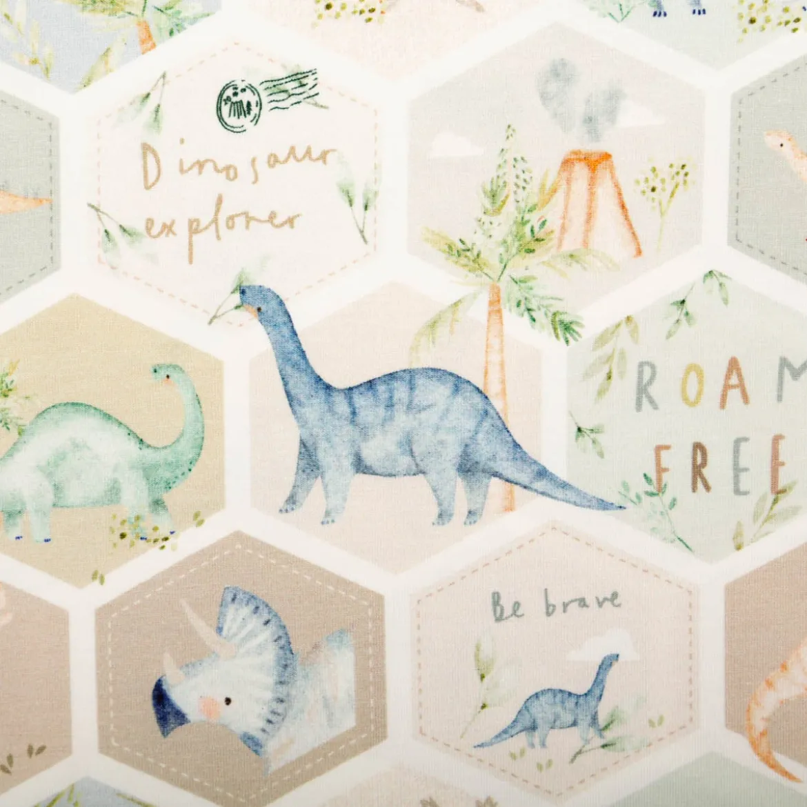 Jersey Stoff Baumwolljersey Digitaldruck Dinosaurier Hexagon grün blau beige 1,5 m Breite