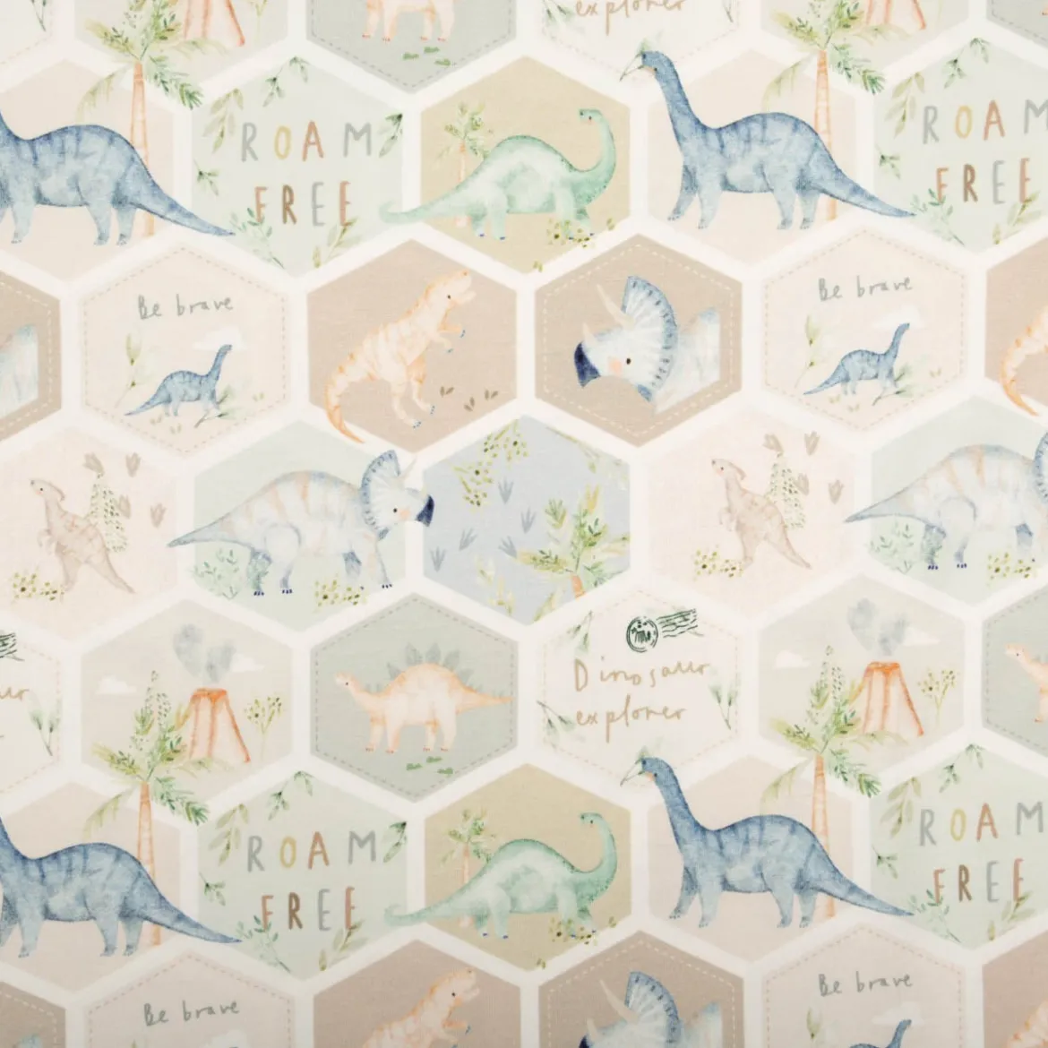 Jersey Stoff Baumwolljersey Digitaldruck Dinosaurier Hexagon grün blau beige 1,5 m Breite