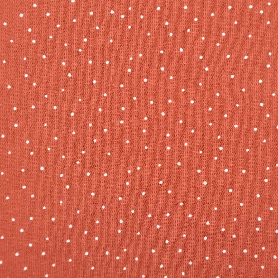 Jersey Stoff Baumwolljersey Pünktchen terracotta 1,50m Breite