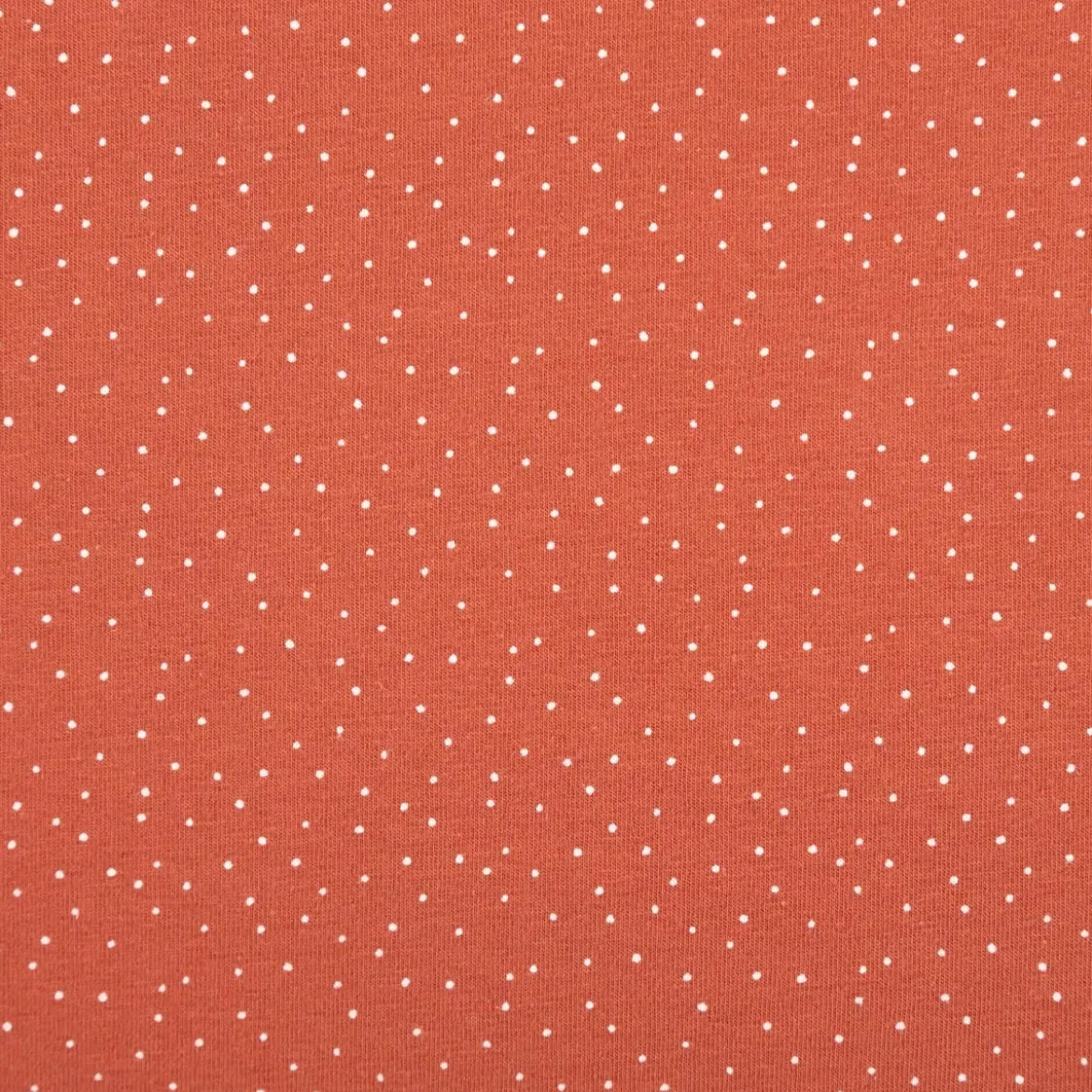 Jersey Stoff Baumwolljersey Pünktchen terracotta 1,50m Breite