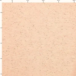 Jersey Stoff Flocken apricot neon Stoffabschnitt von Rico Design 80x100cm