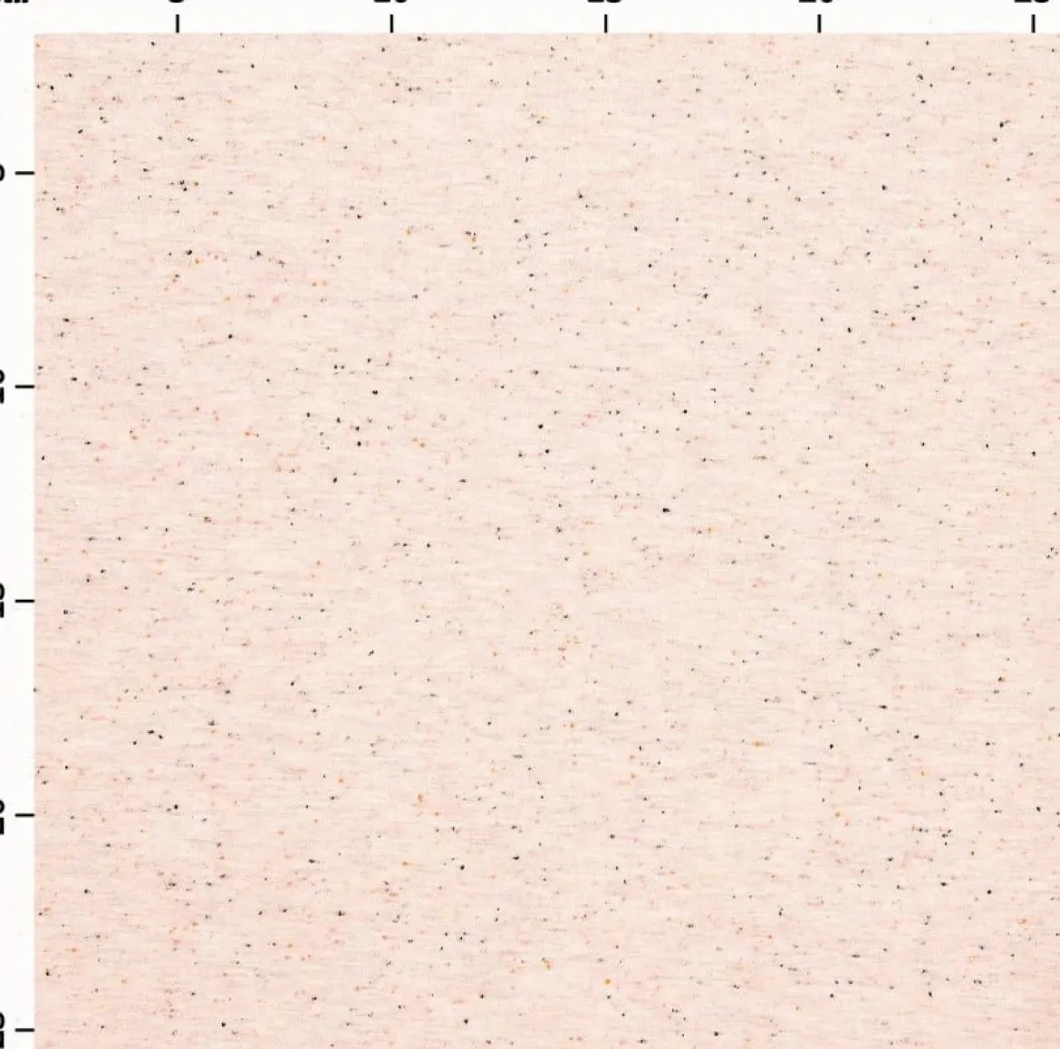 Jersey Stoff Flocken rosa neon Stoffabschnitt von Rico Design 80x100cm