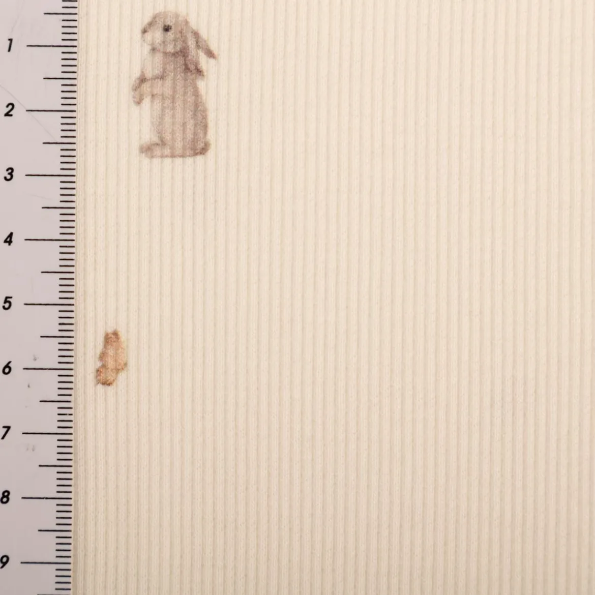 Jersey Stoff Rippjersey Baumwolle Hase Rotkehlchen Schmetterling wollweiß 1,20m Breite